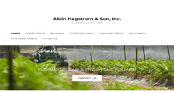 Desktop Screenshot of albin-hagstrom.com